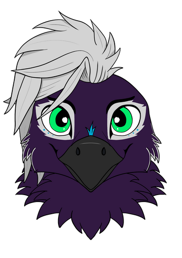 NimbusNox Varsity Headshot