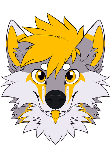 Vork Varsity Headshot