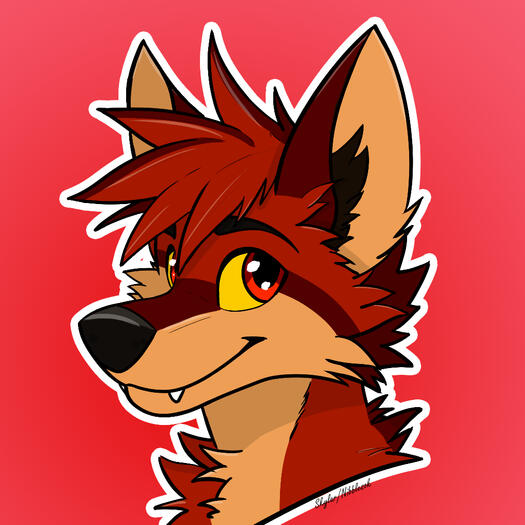 Robin Ciel Headshot